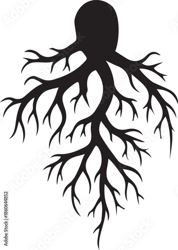 Botanical illustration of tree roots in silhouette against a transparent background