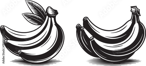 Two bunches of bananas in a sketch style with leaves on one bunch