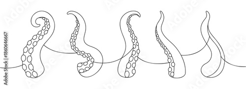 Octopus tentacles line art with suction cups. Minimalist marine animal arms for nautical, tattoo, and sea life design themes