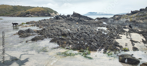 City beach sea ocean seaside wave water sky clouds landscape cove bay stone granite mountain castle fort grass vegetation cactus path boat motorboat kayak sailboat village fishing vacation dog trip