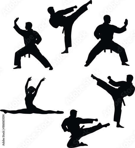 Silhouette of martial arts and dance poses, high kicks, splits, punches, black white illustration, fitness movement, flexibility strength