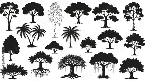 A comprehensive collection of tree silhouettes and nature vectors featuring palm, pine, and oak illustrations in a black forest design set