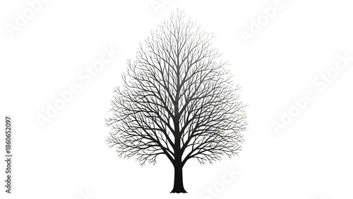 A single black vector silhouette of a bare winter oak tree with dead branches stands isolated on a white background in a cold nature landscape illustration