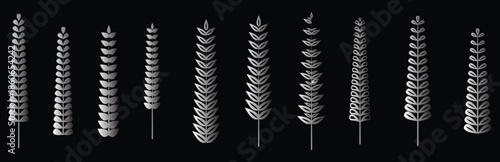 Various elegant silver gradient botanical elements and wheat ears vector illustration