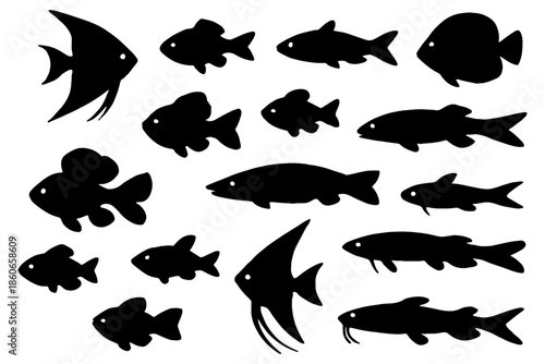 set of fishes,
Aquarium Fish Silhouette Set of Most Popular Fish