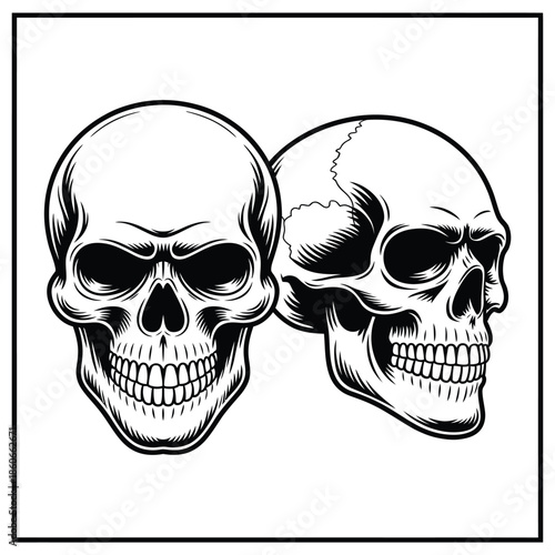 Two detailed human skulls depicted in a black and white illustration style
