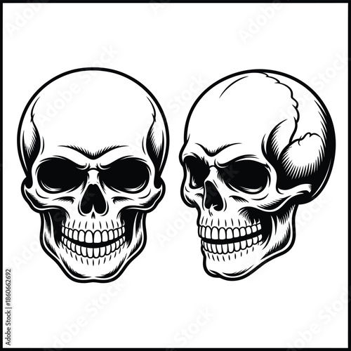 Two detailed human skulls illustration in black and white engraving style