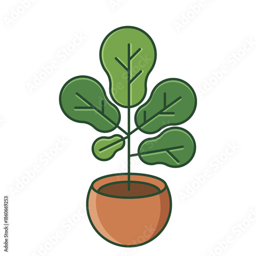 Plant in ceramic pot isolated on white background. Potted ficus plant features large green leaves. Minimalist flat vector design for home decor. Modern indoor ficus illustration icon.