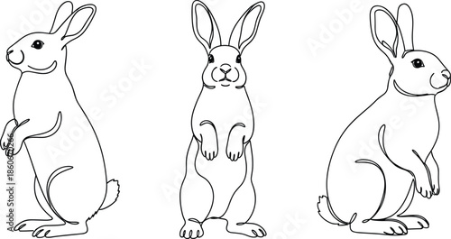 Cute rabbit line art illustrations in multiple poses, hand drawn bunny outline set, minimalist black and white animal design collection