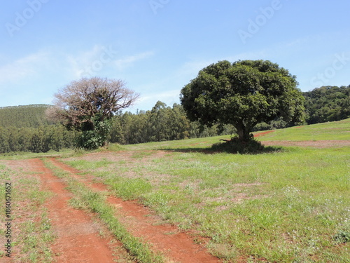 Terras rurais - Jandaia do Sul - Paraná