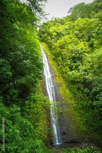 Oahu, Hawaii, Manoa Falls in the winter of 2025
