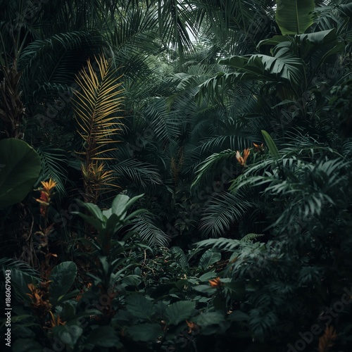Lush Green Leaves Create a Natural Backdrop in a Dimly Lit Indoor Space