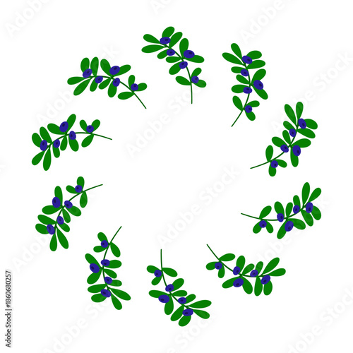 Cute wreath with flat hand drawn blueberry twigs and berries isolated on white background. Round forest composition.