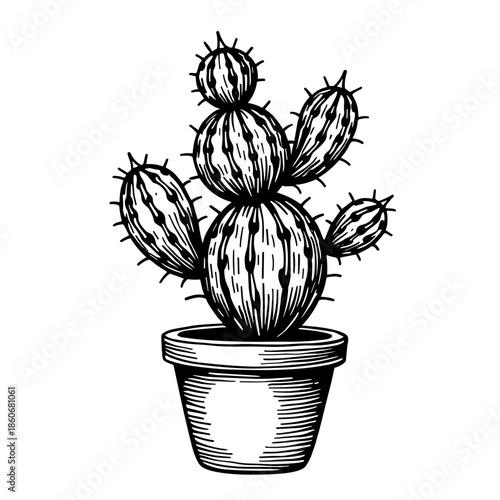 Classic hand-drawn cactus in pot with round pads and spines in vintage bold line art style floating on white background - graphic design - eco branding - print products