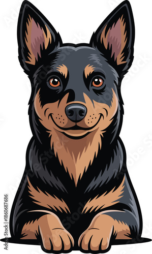  Cute cartoon a illustrator vector kelpie