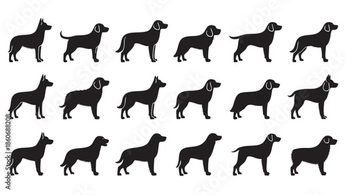 Set of Silhouettes of Dog Breeds Showing Different Postures