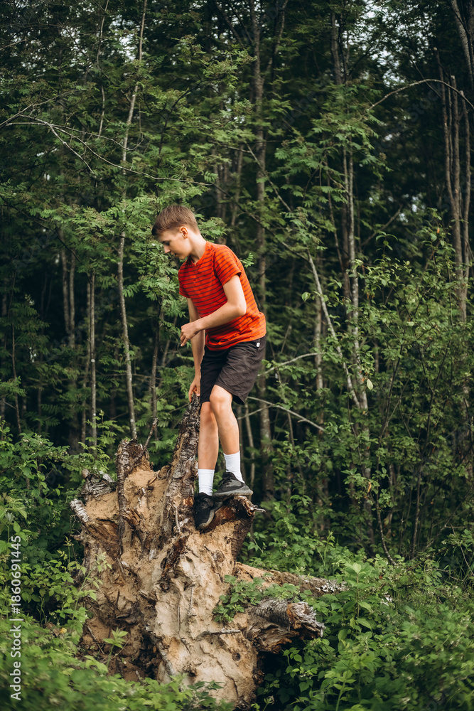 Obraz premium Child Exploring Fallen Tree Trunk in Forest