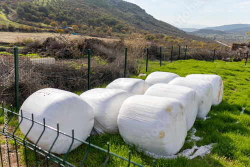 50 kg bags of corn silage, animal feed