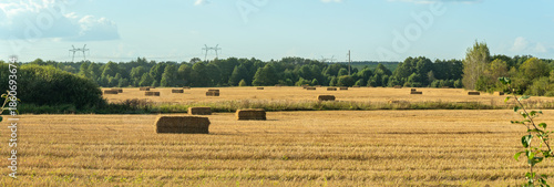 Hay bales scattered across harvested field. Golden hay bales on rural farmland after harvest with forest background. Agricultural landscape with rectangular hay bales on stubble field.