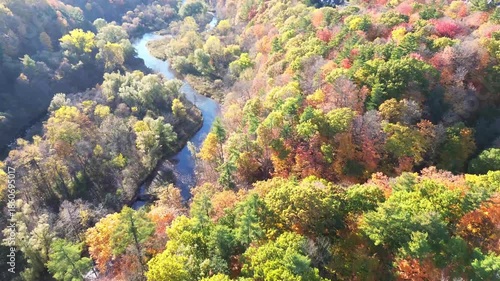 4K top-down cinematic drone shot flying above forest and farmland alongside forest path road carved through colorful maple trees of autumn, with city downtown skyline in view, Ontario Canada