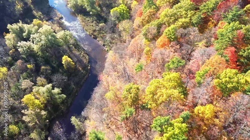 4K top-down cinematic drone shot flying above forest and farmland alongside forest path road carved through colorful maple trees of autumn, with city downtown skyline in view, Ontario Canada
