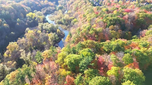 4K top-down cinematic drone shot flying above forest and farmland alongside forest path road carved through colorful maple trees of autumn, with city downtown skyline in view, Ontario Canada