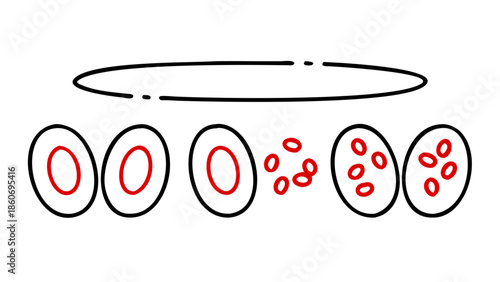 Plasma, leukocyte and erythrocyte, platelet, histopathology thin black and red outline symbols vector illustration Blood test result in medical laboratory, hematology, cardiology line icon set.