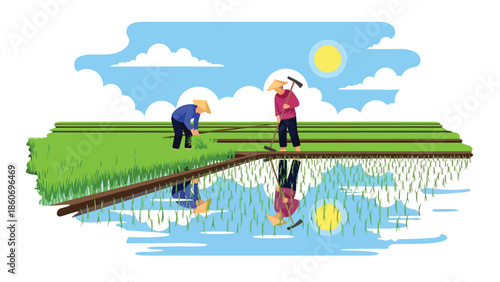 Modern vector illustration of rice plantation with farmers working in paddies, traditional agriculture and staple food production concept