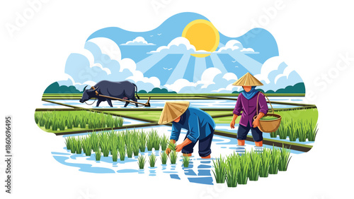 Modern vector illustration of rice plantation with farmers working in paddies, traditional agriculture and staple food production concept