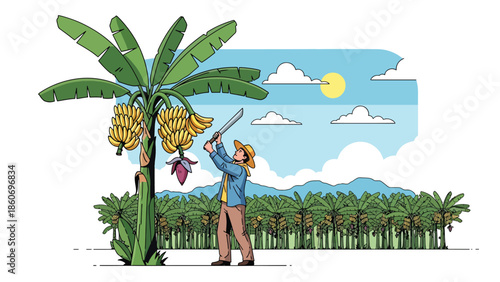 Modern vector illustration of plantation worker harvesting fruits from trees, tropical agriculture and agribusiness concept