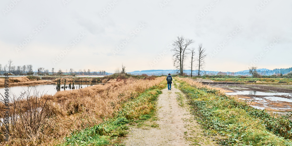 Fototapeta premium Winter View of Pitt Meadows