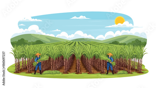 Modern vector illustration of sugarcane plantation with workers harvesting, plantation agriculture and rural economy concept