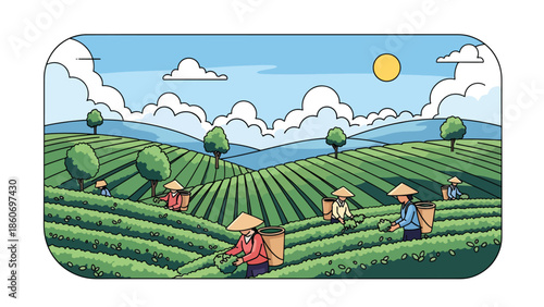 Modern vector illustration of tea plantation landscape with workers harvesting leaves, plantation agriculture and global trade concept