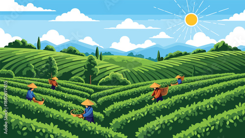 Modern vector illustration of tea plantation landscape with workers harvesting leaves, plantation agriculture and global trade concept