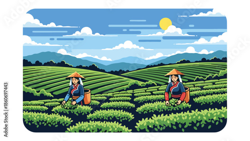 Modern vector illustration of tea plantation landscape with workers harvesting leaves, plantation agriculture and global trade concept
