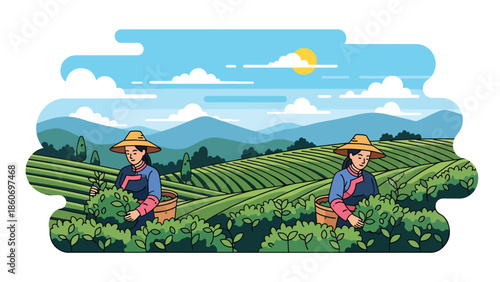 Modern vector illustration of tea plantation landscape with workers harvesting leaves, plantation agriculture and global trade concept