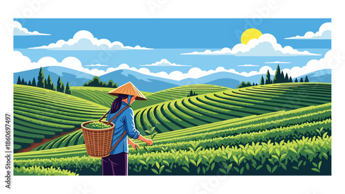 Modern vector illustration of tea plantation landscape with workers harvesting leaves, plantation agriculture and global trade concept
