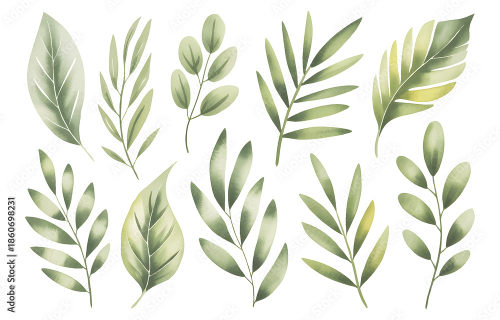 Fototapeta premium Tropical green leaves set in watercolor style isolated on white background. Hand drawn watercolor green palm leaves, monster, banana leaves.