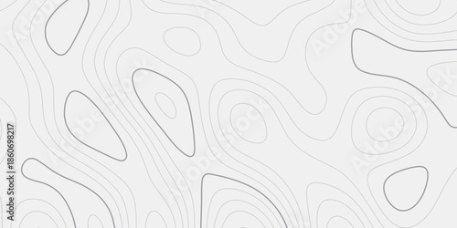 Contemporary topographic map pattern in abstract form.
Soft white contour waves showing elevation rhythm.