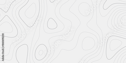 Abstract contour map background with smooth land outlines.
Minimal white wave relief expressing topographic form.