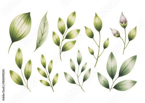 Soft botanical leaf collection painted in gentle watercolor tones. Botanical set of tropical foliage branch.
