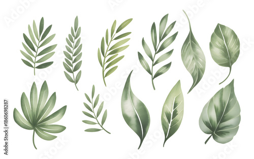 Tropical green leaves set in watercolor style isolated on white background. Hand drawn watercolor green palm leaves, monster, banana leaves.
