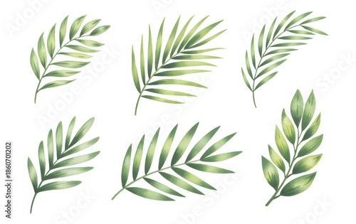 Botanical palm leaves collection. Watercolor tropical leaves on white background.
