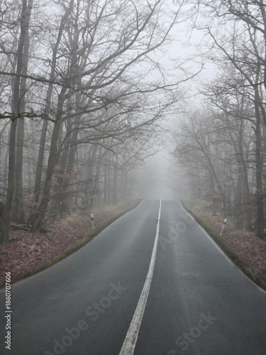 road in the fog