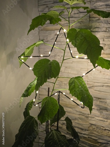 green leaves and water