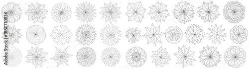 Vector Architectural Top View Tree and Plant CAD Block Set Featuring Spiral and Star Shapes