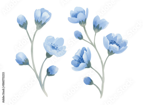Watercolor botanical illustration of blue flowers branches with buds.