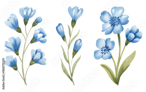 Watercolor botanical illustration of blue flowers branches with buds.