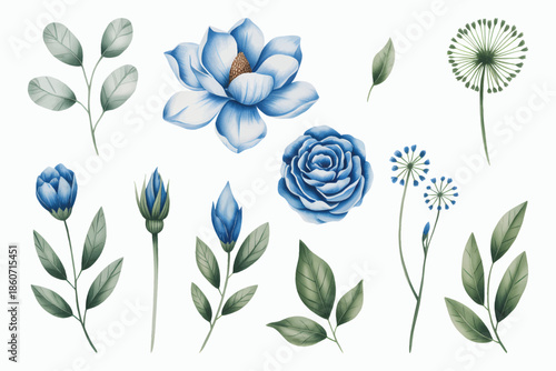 Watercolor botanical illustration of blue leaves and simple floral elements.
