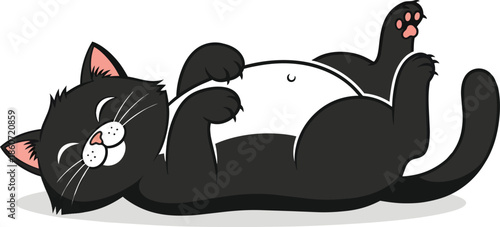 Black Cat Lying on Back Playfully.